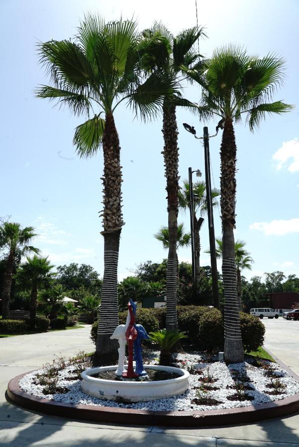 Hotel And Port Area 3*