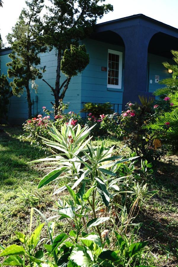 On 17 3* Savannah