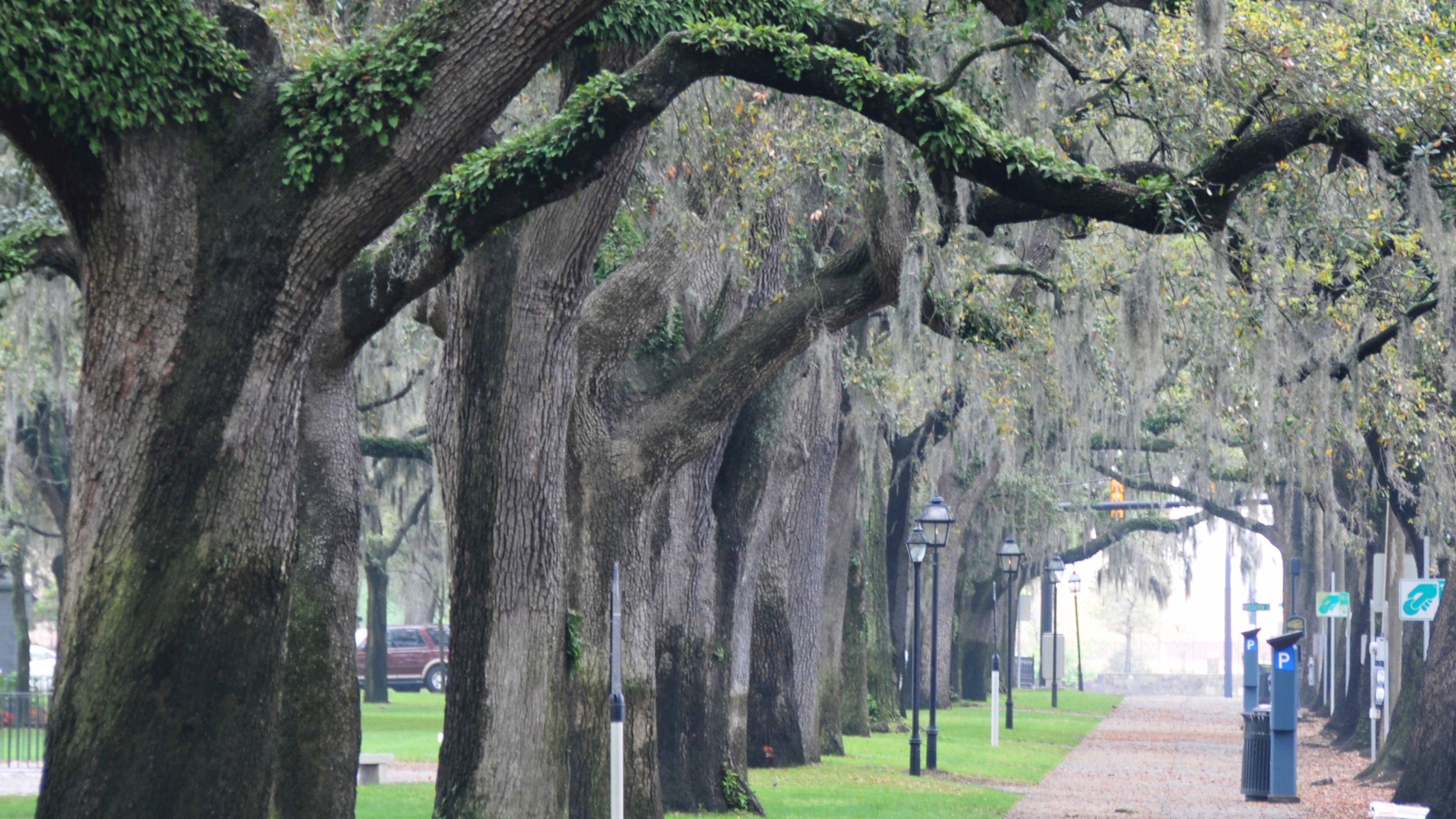 Indigo Historic District By Ihg