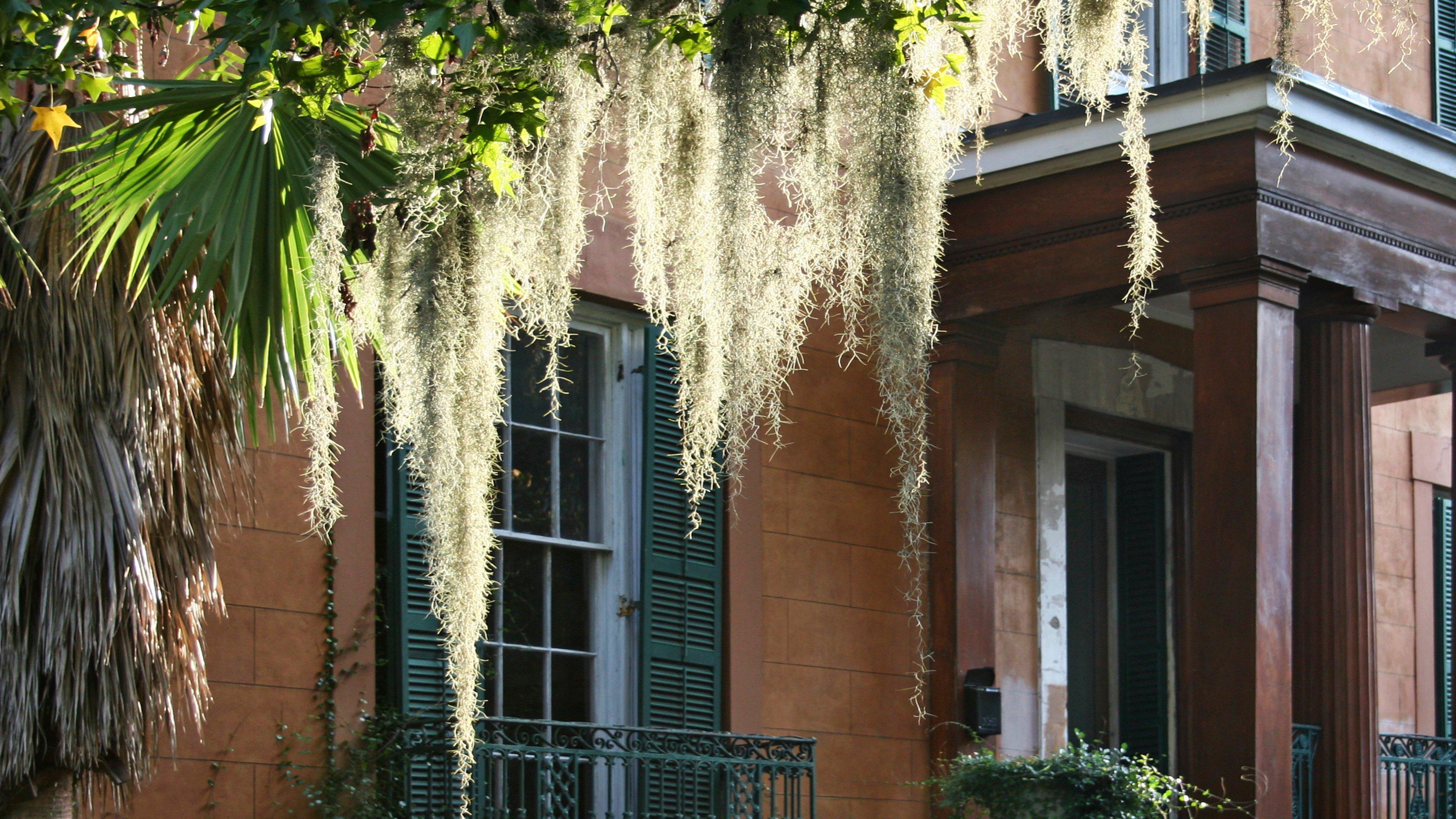Indigo Historic District By Ihg Hotel 4*
