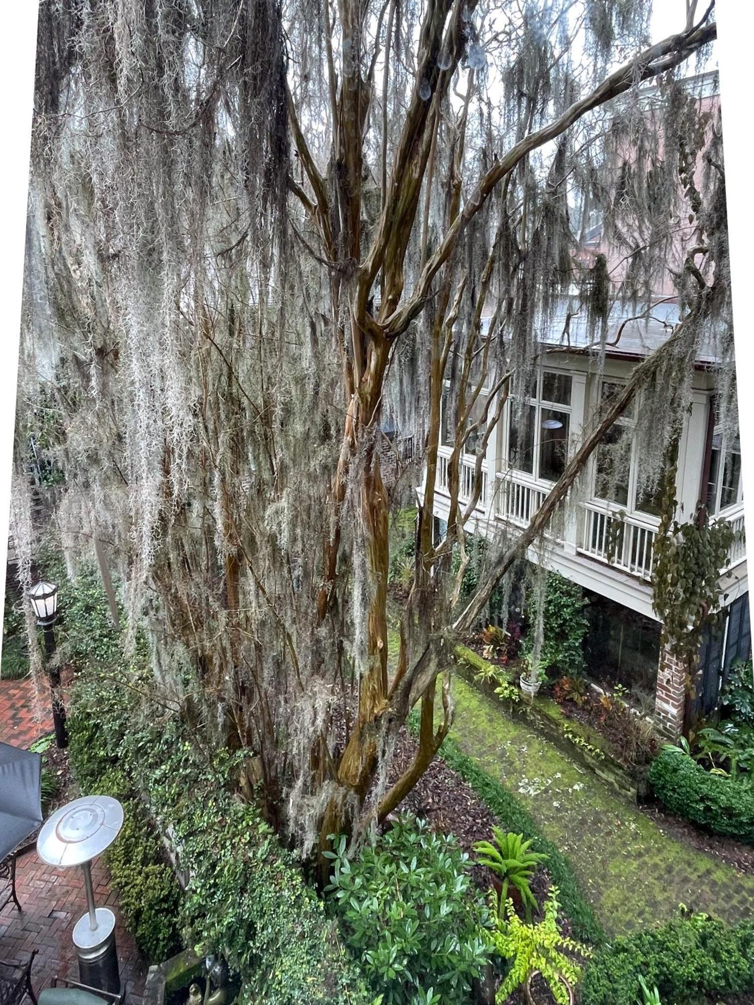 Bed & Breakfast Eliza Thompson House, Historic Of Collection (adults Only) 4*