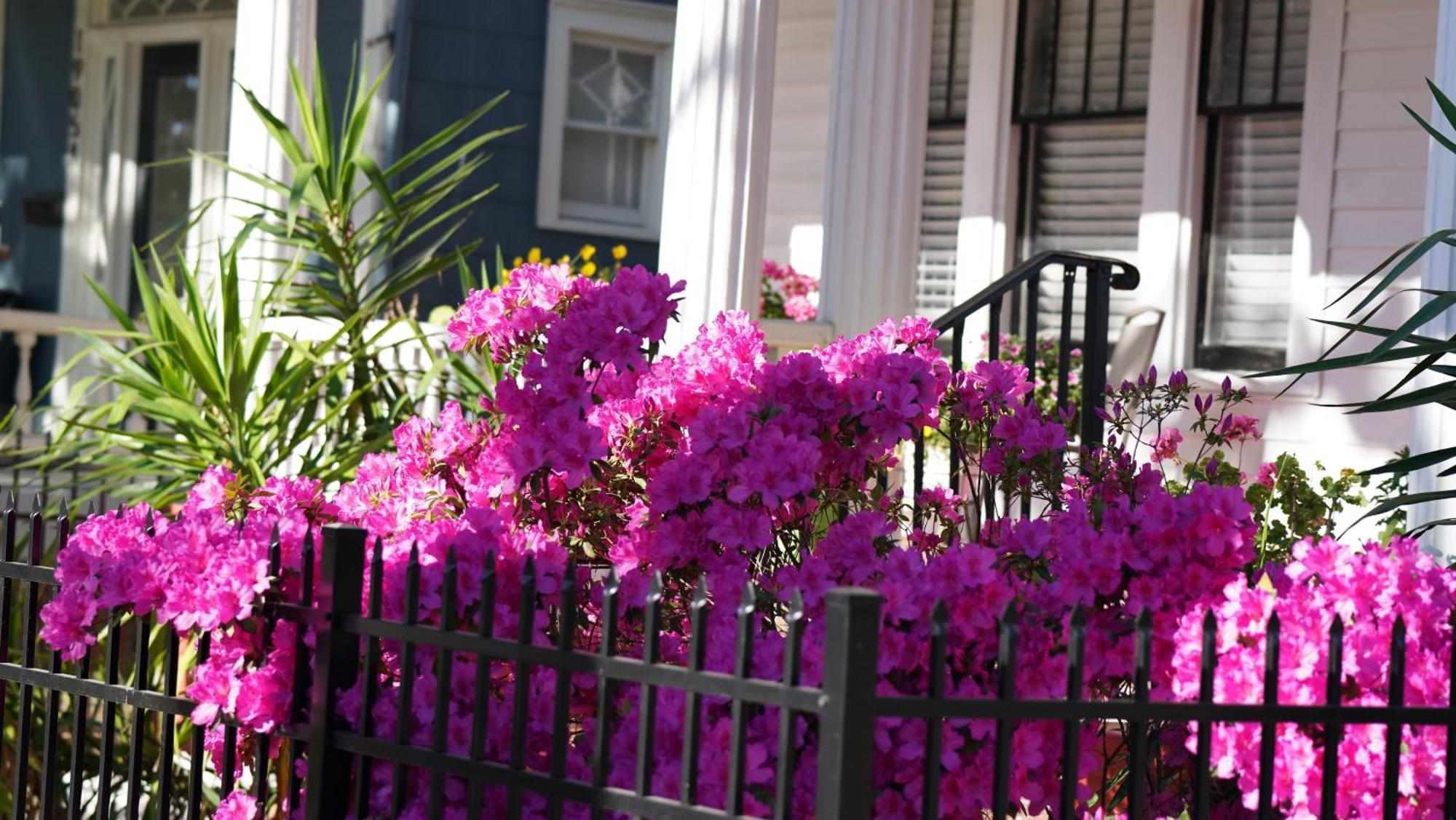 Homestay 5 Bedroom Downtown Ga Savannah