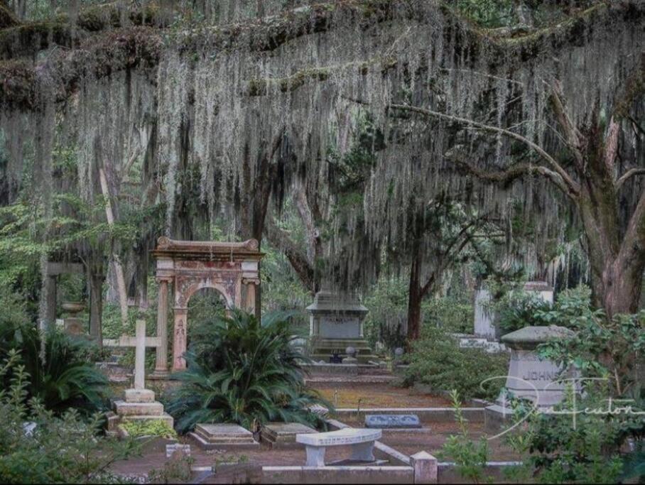 Centrally Located Between Tybee Island And Dt * Savannah