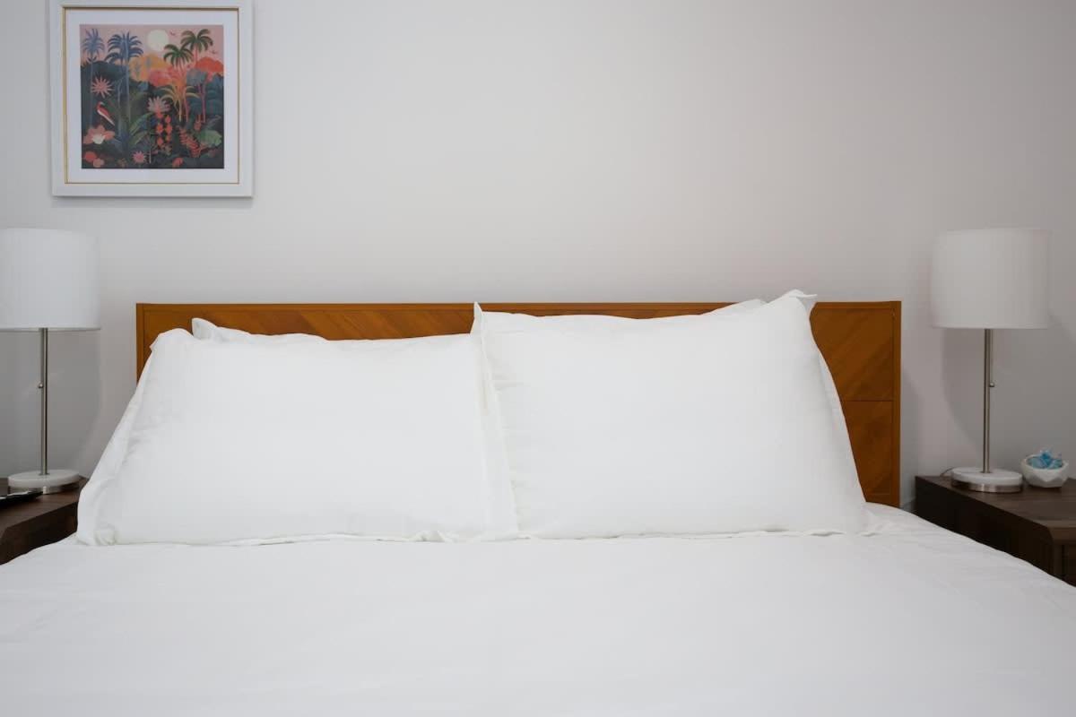 Fun & Renovated Artsy Downtown Dog Friendly With Fully Fenced Backyard And Private Parking Apartment *