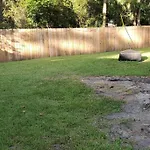 Southern Charm Vacation Rental