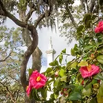 Southern Belle Skyline