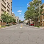 Southern Belle On Oglethorpe Square