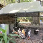 Savannah Cottage - 5 Mi To Wormsloe Historic Site!