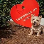The Thunderbird Inn