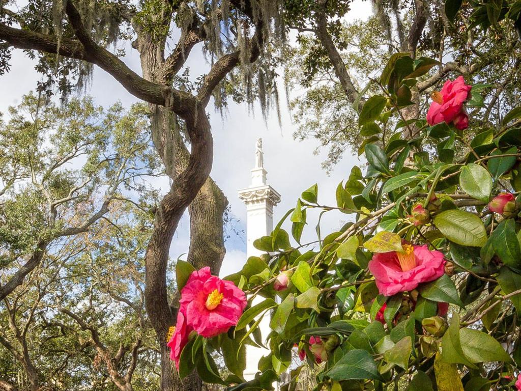 Southern Belle Skyline