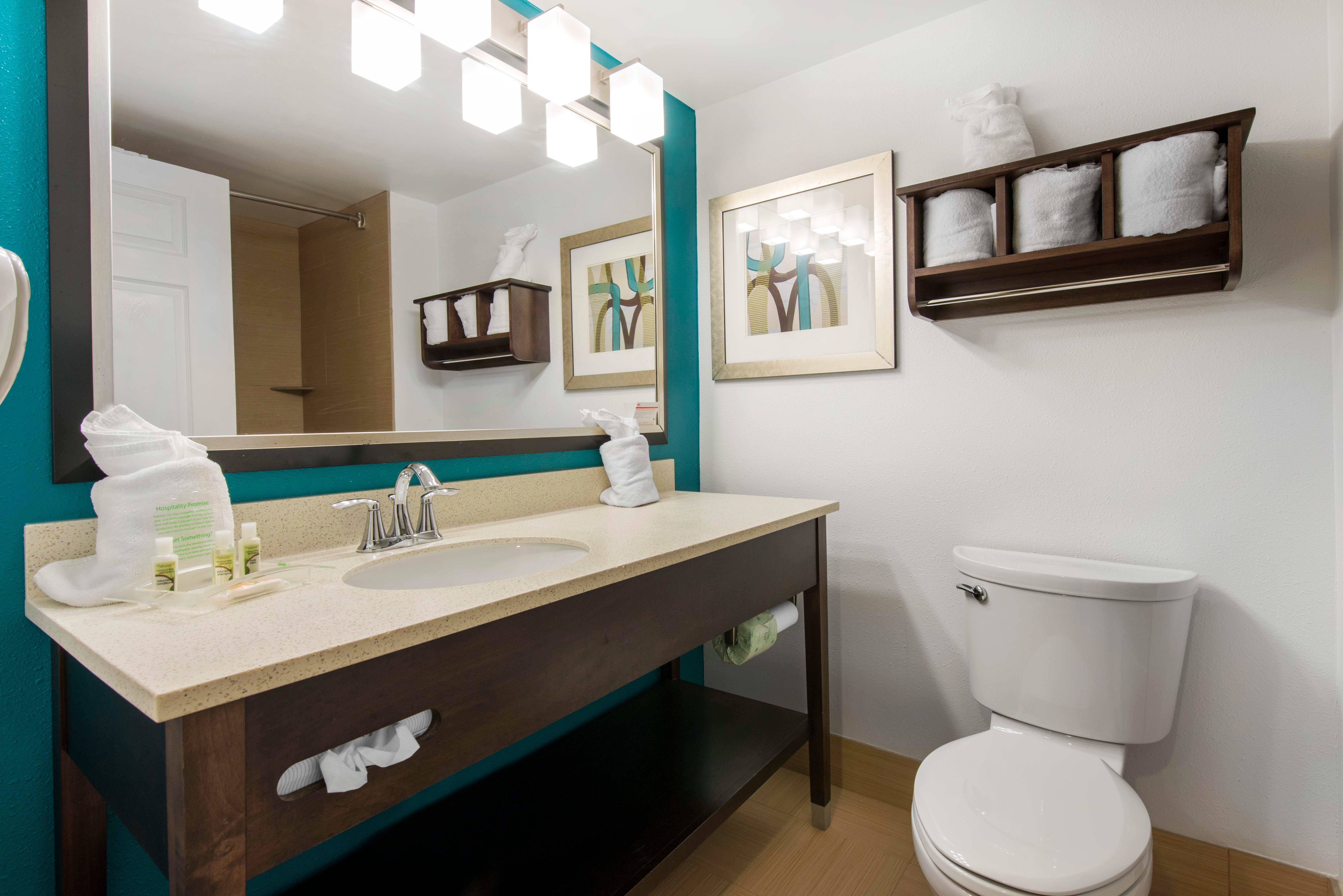 Savannah South - I-95 Gateway By Ihg 3* Georgetown