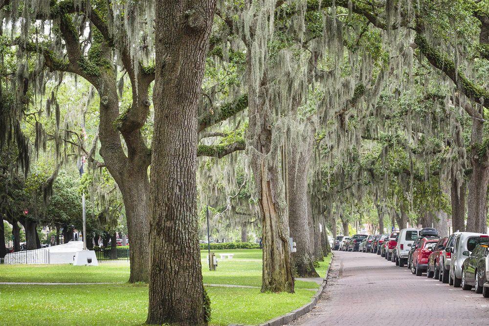 Hotel Olde Harbour Inn, Historic Of Collection 4*