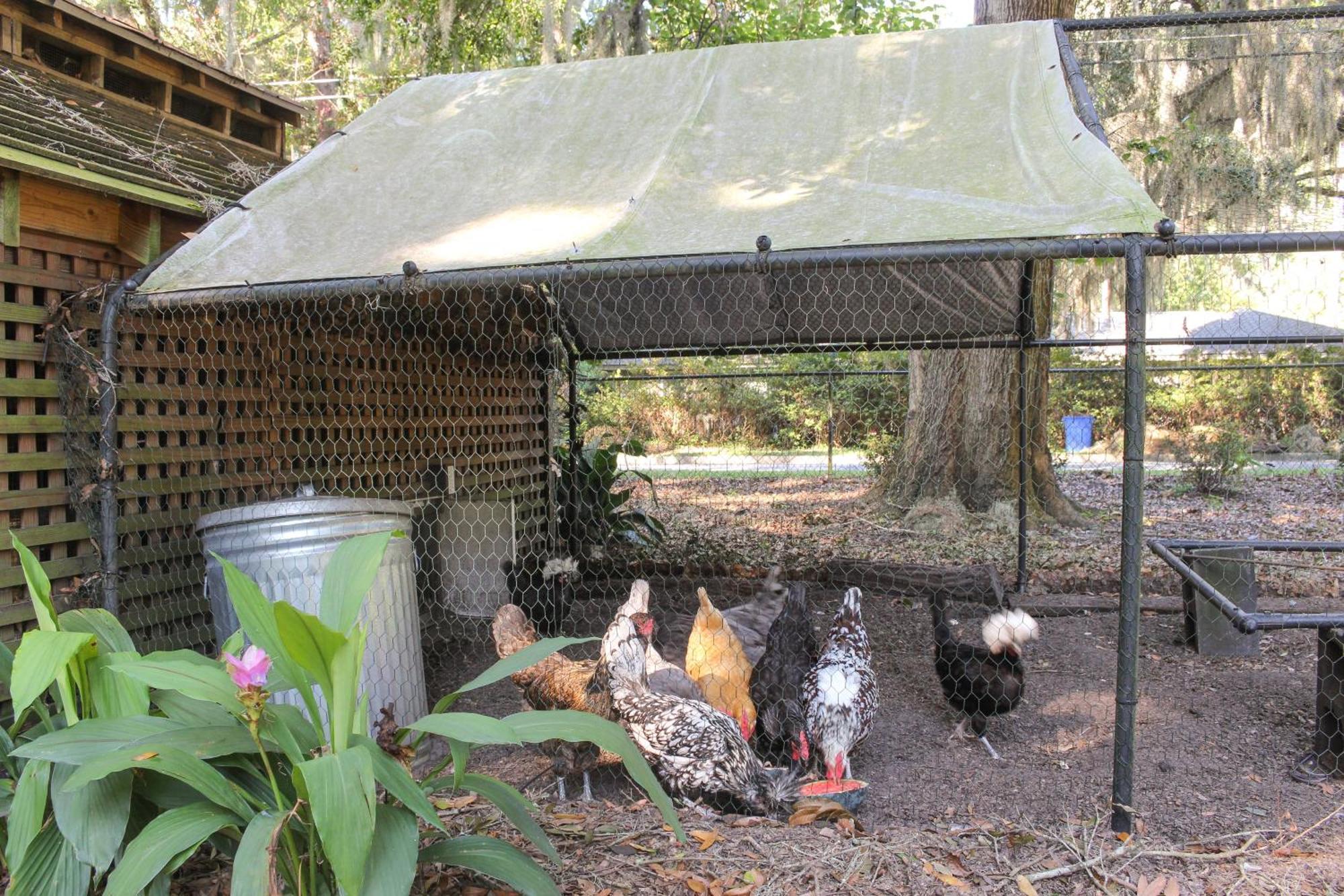- 5 Mi To Wormsloe Historic Site! Holiday home