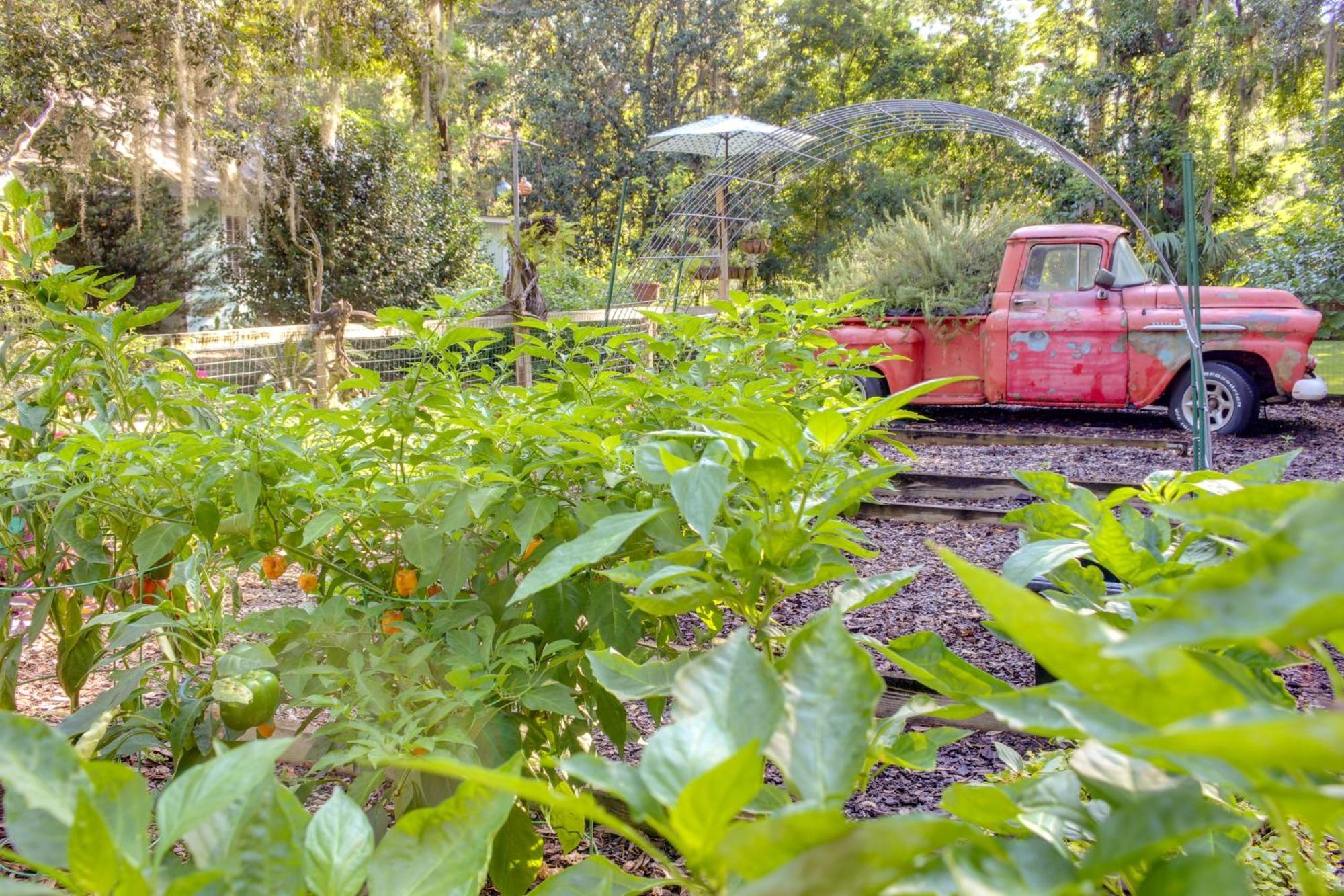 Holiday home - 5 Mi To Wormsloe Historic Site! Savannah