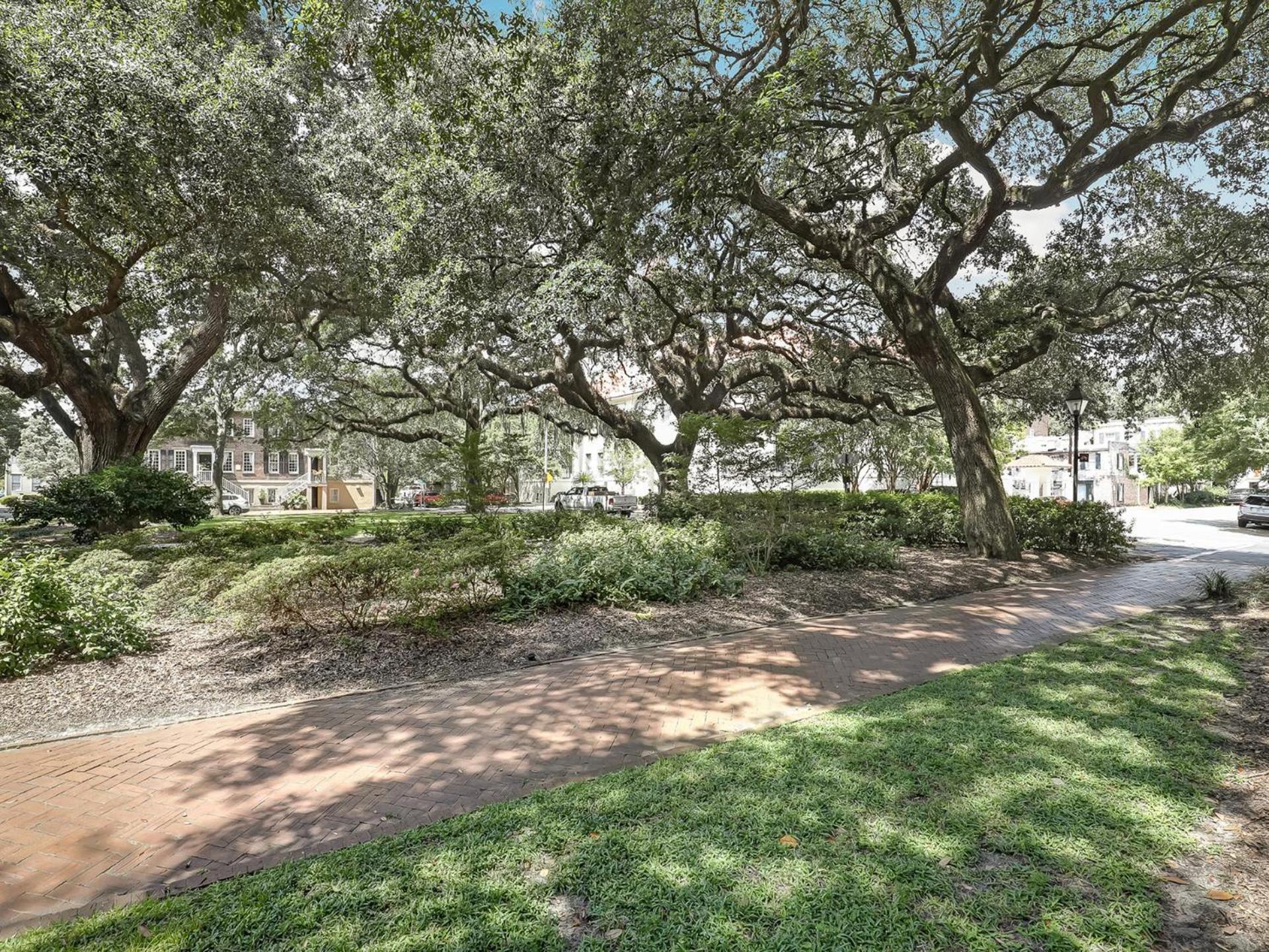Gordon Live Oak
