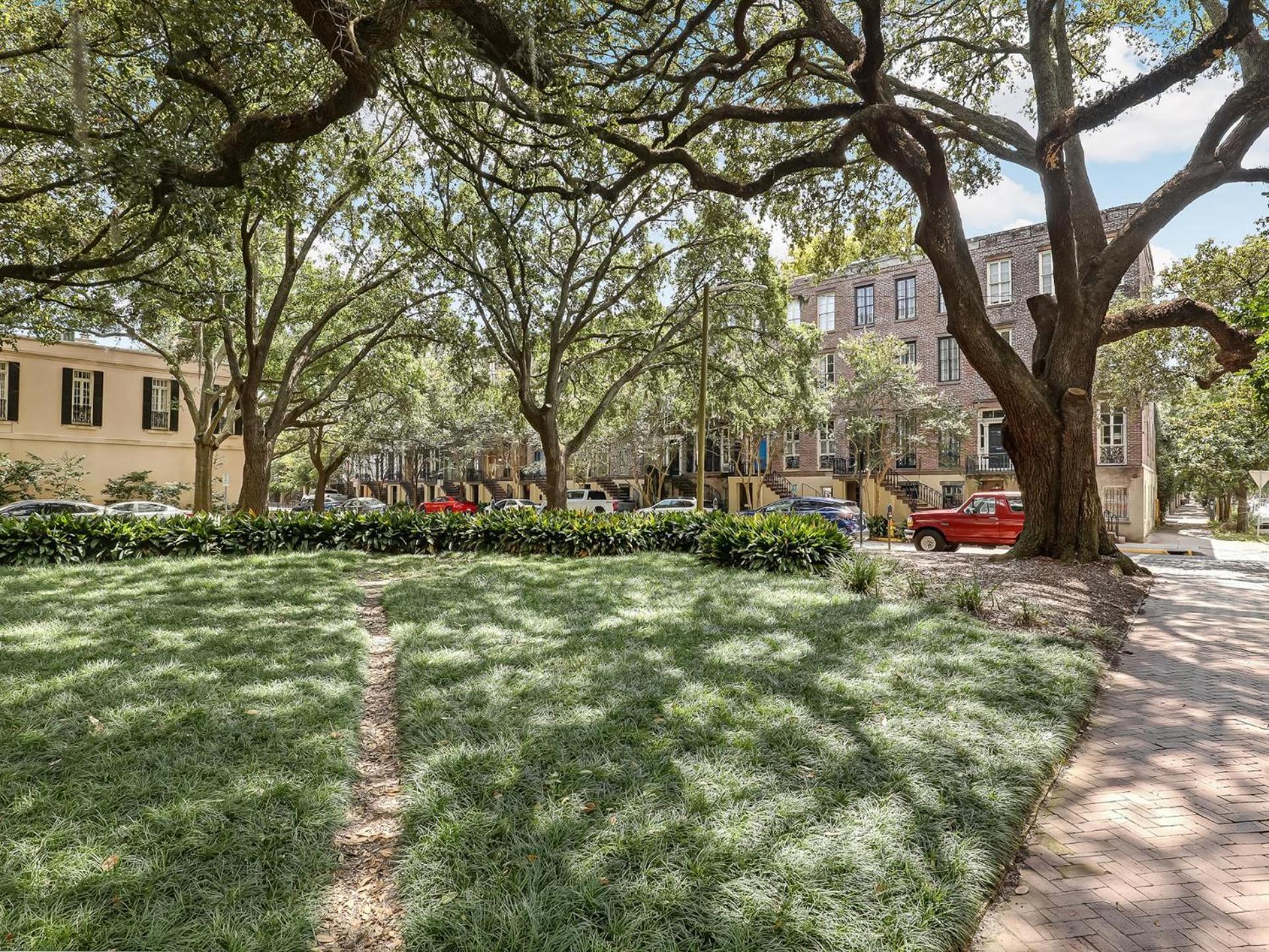 Gordon Live Oak *