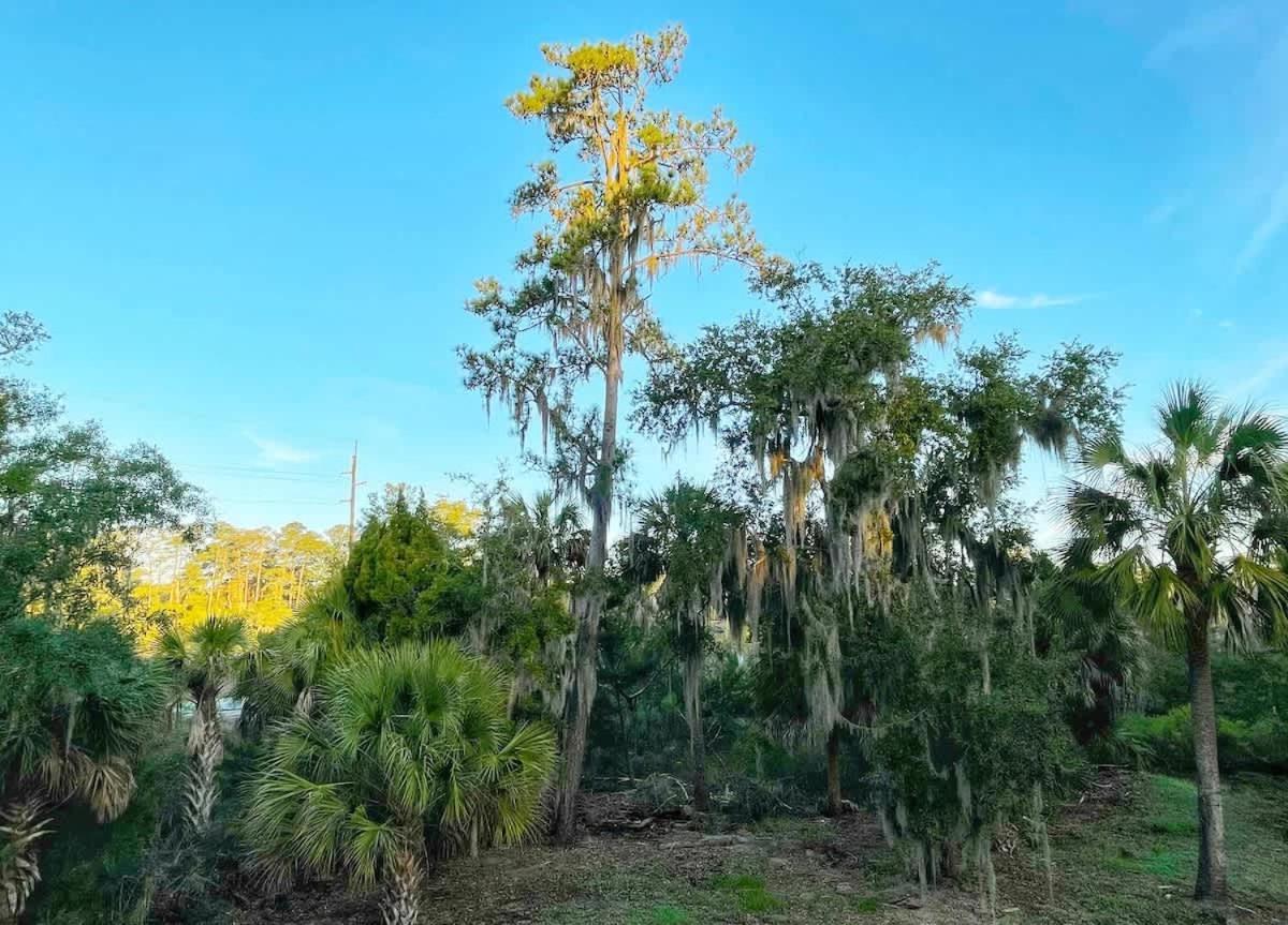 Large W Midway To & Tybee Island! Dog Friendly Venue Savannah