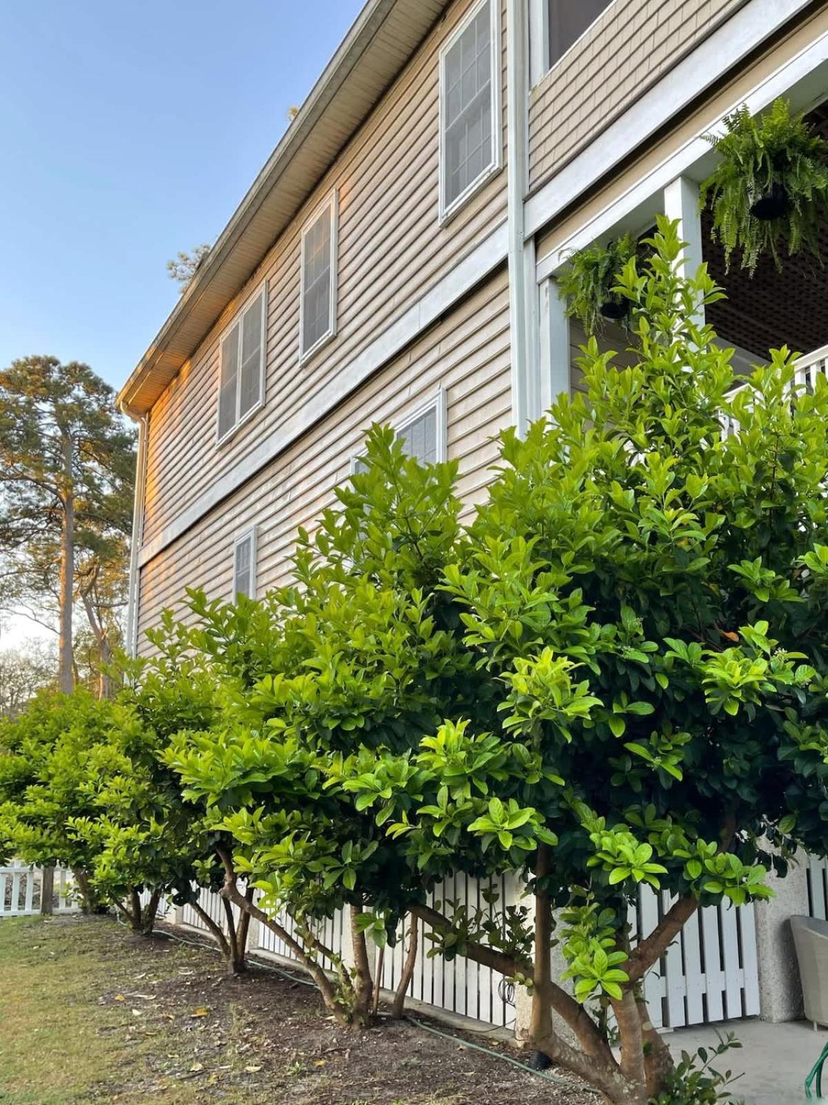 Large W Midway To & Tybee Island! Dog Friendly Venue