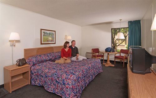 Lodge Econo