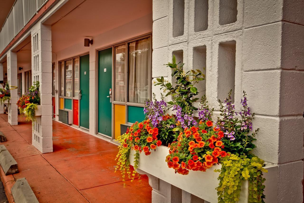 Hotel The Thunderbird Savannah