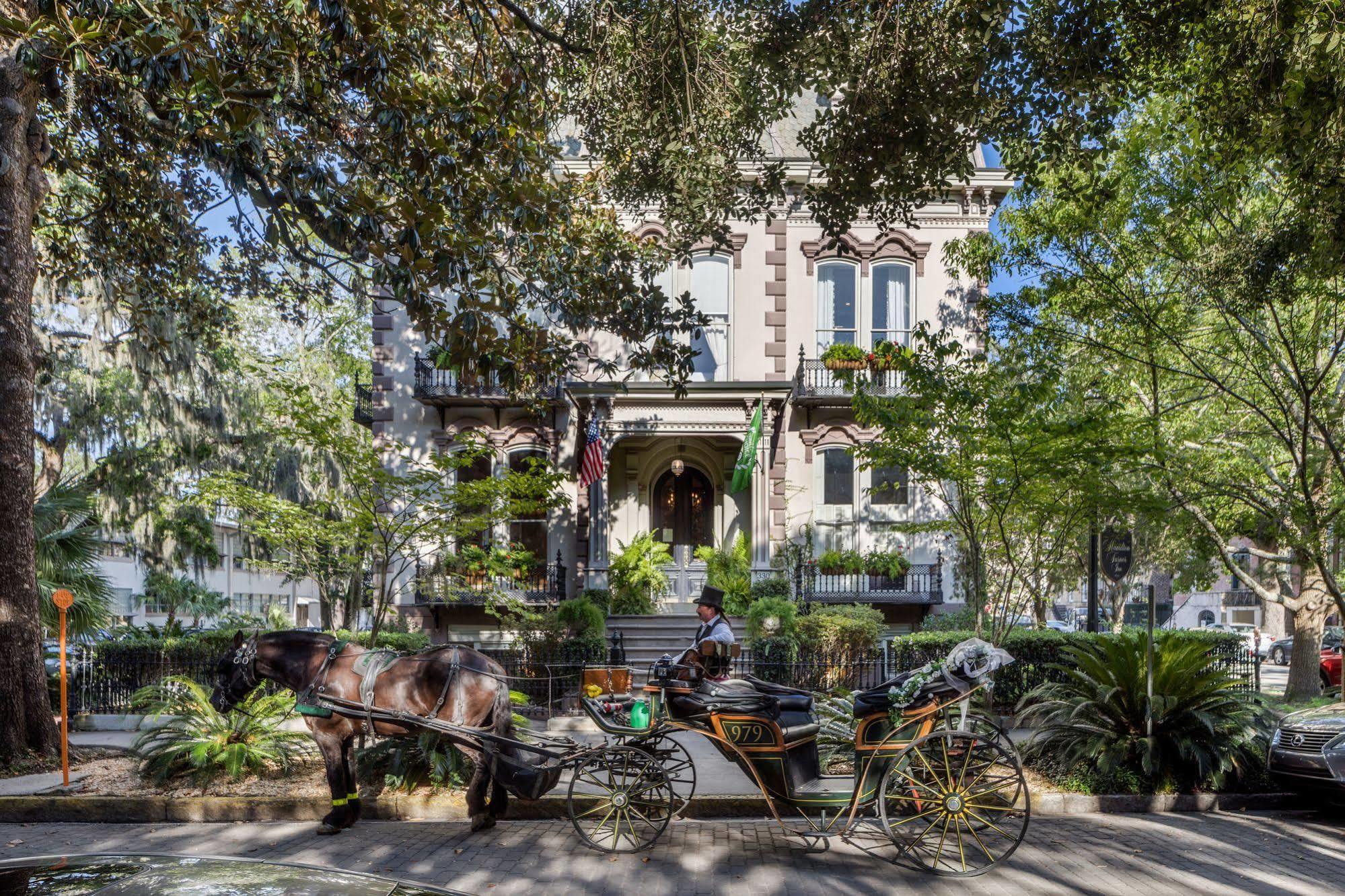 Hamilton Turner 4* Savannah