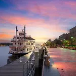 Savannah Serendipity