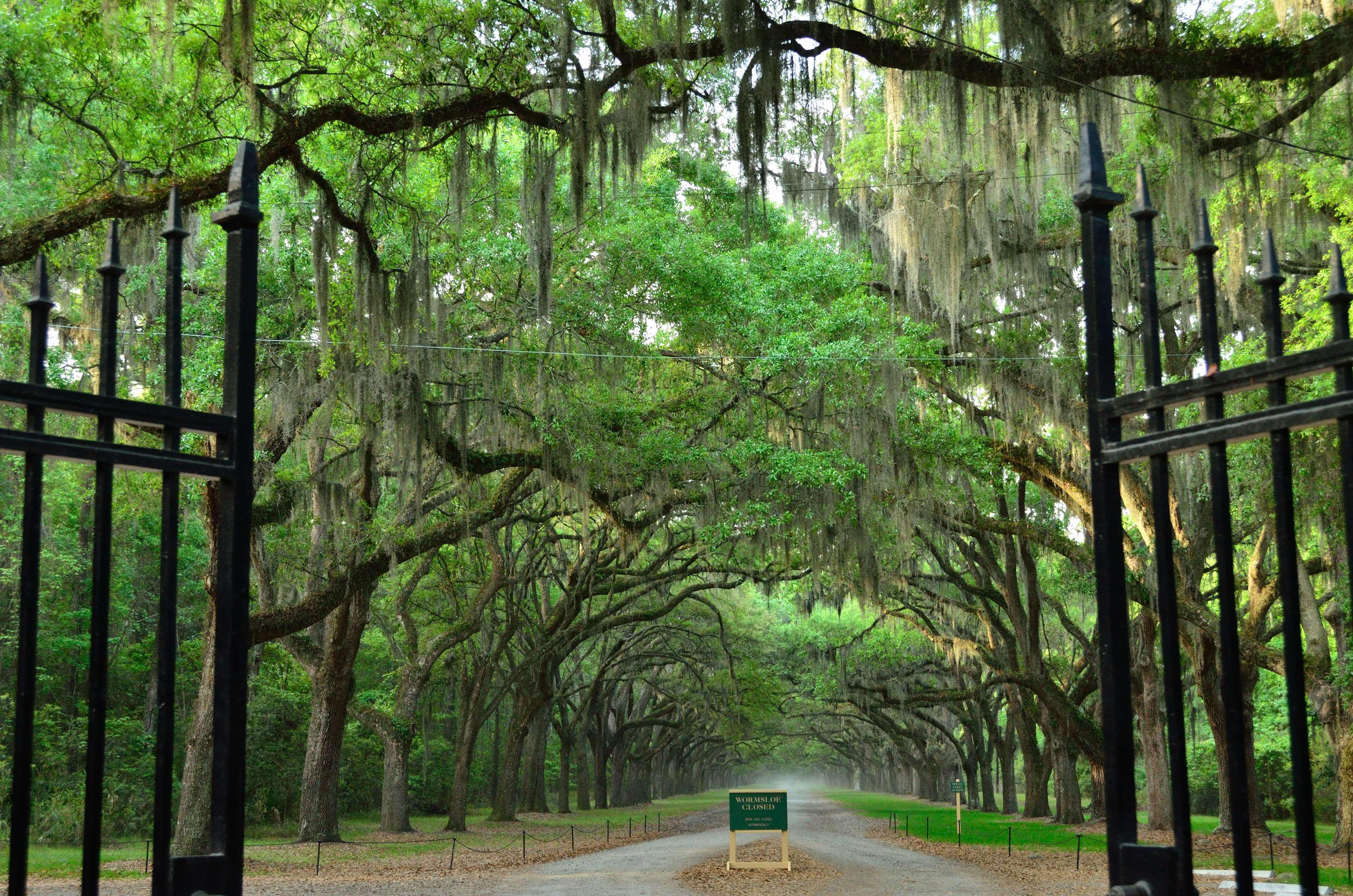 Best Western Central 3* Savannah