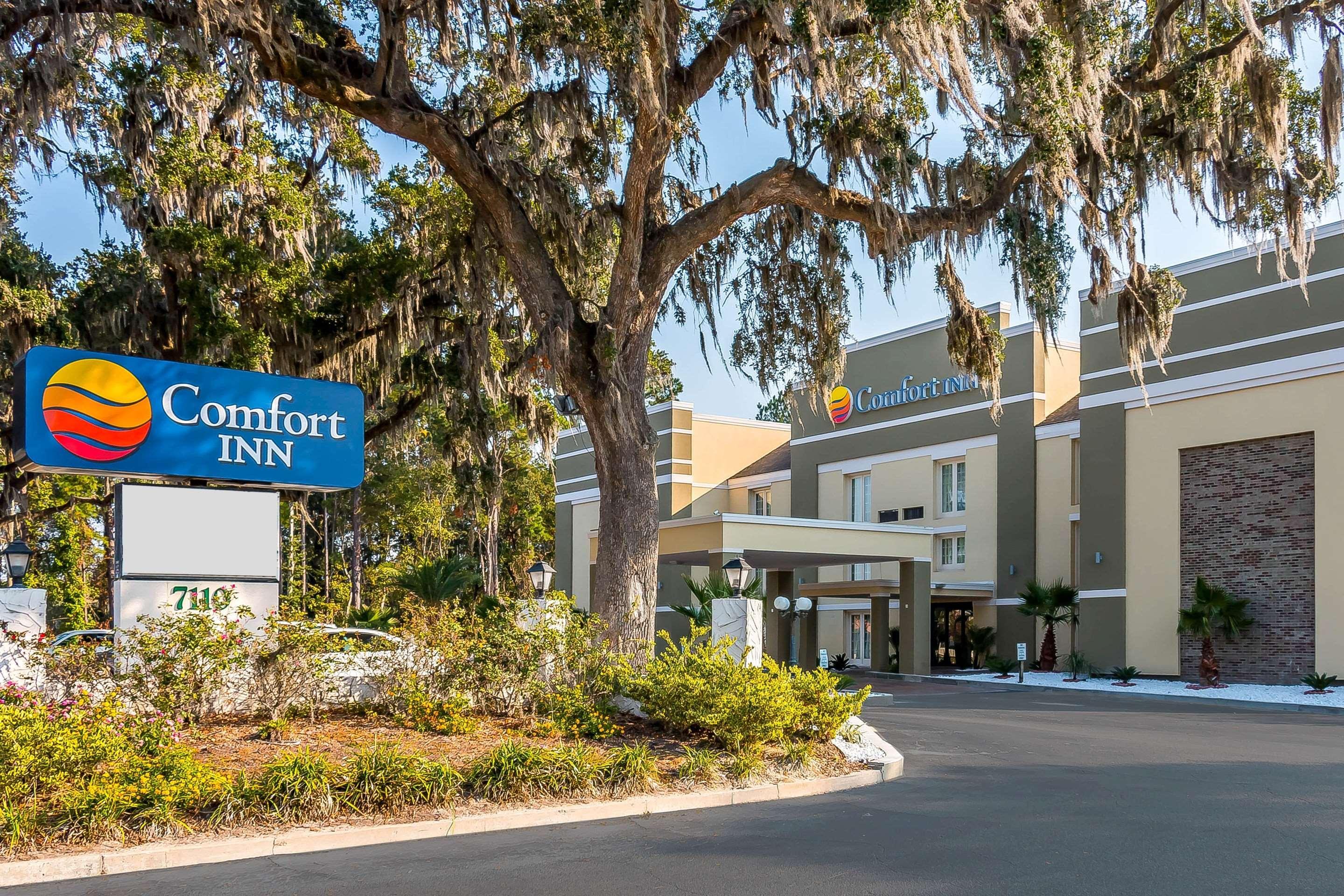 Comfort Savannah