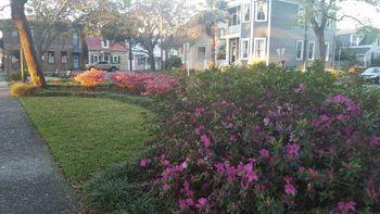 Bed & Breakfast Palm 2*