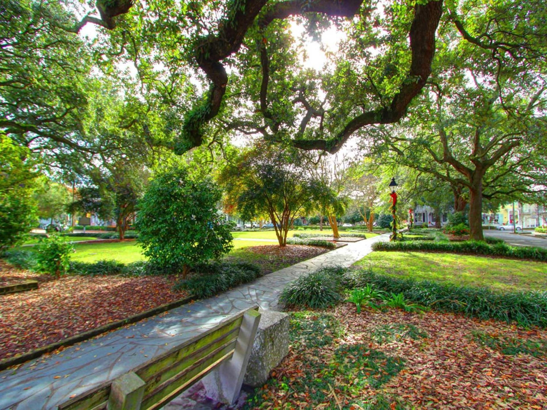 Washington Square Manor Holiday home Savannah