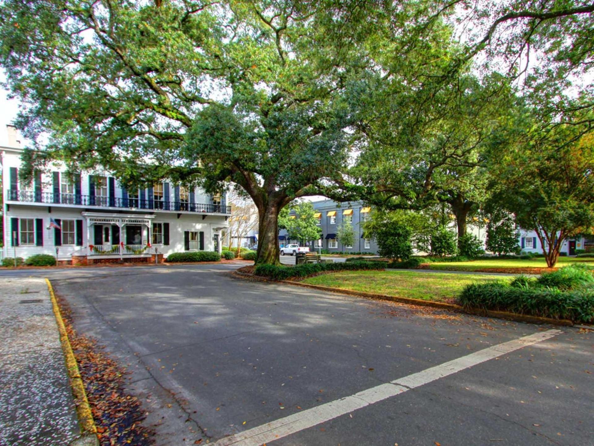 Washington Square Manor