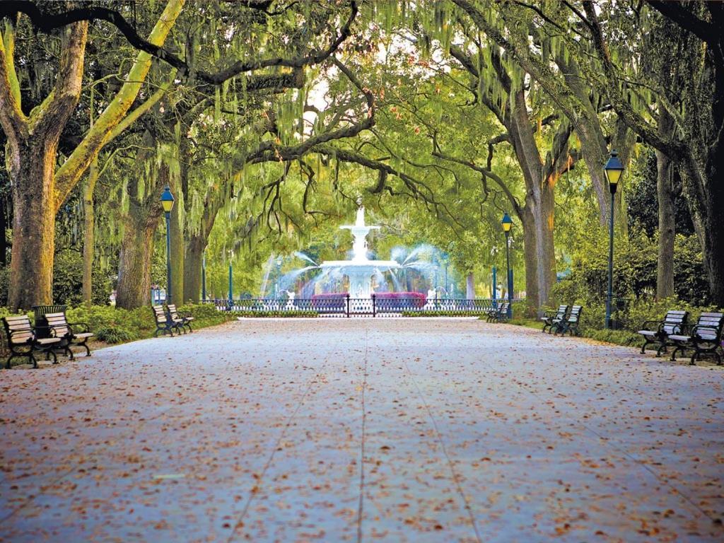 Jetsetter * Savannah
