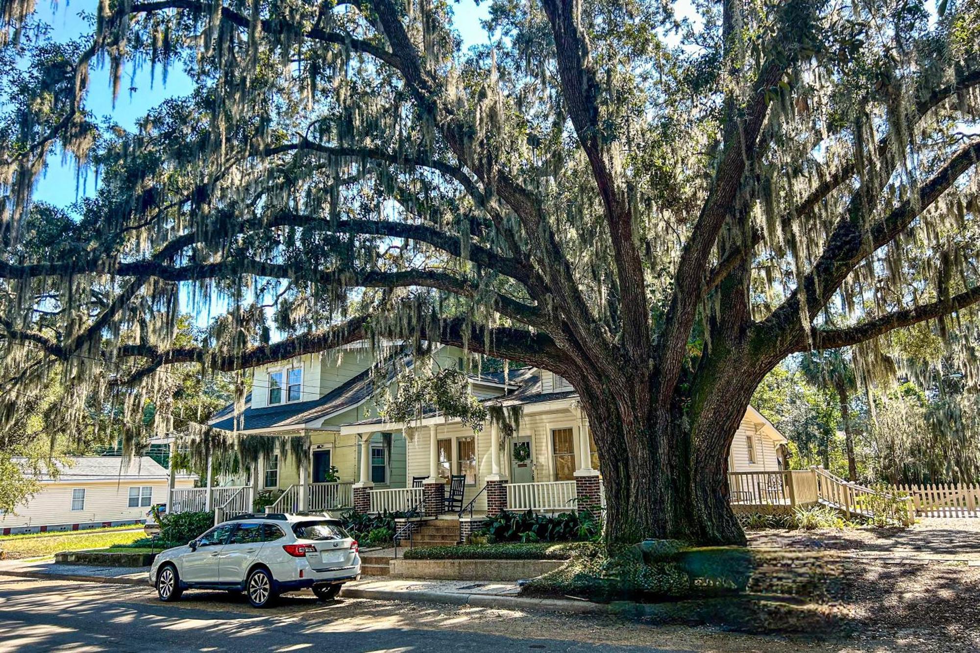 Holiday home Mossy Oak