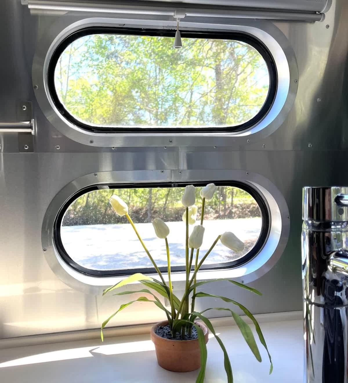 Silver Belle Airstream Glamper Near Tybee & Campsite