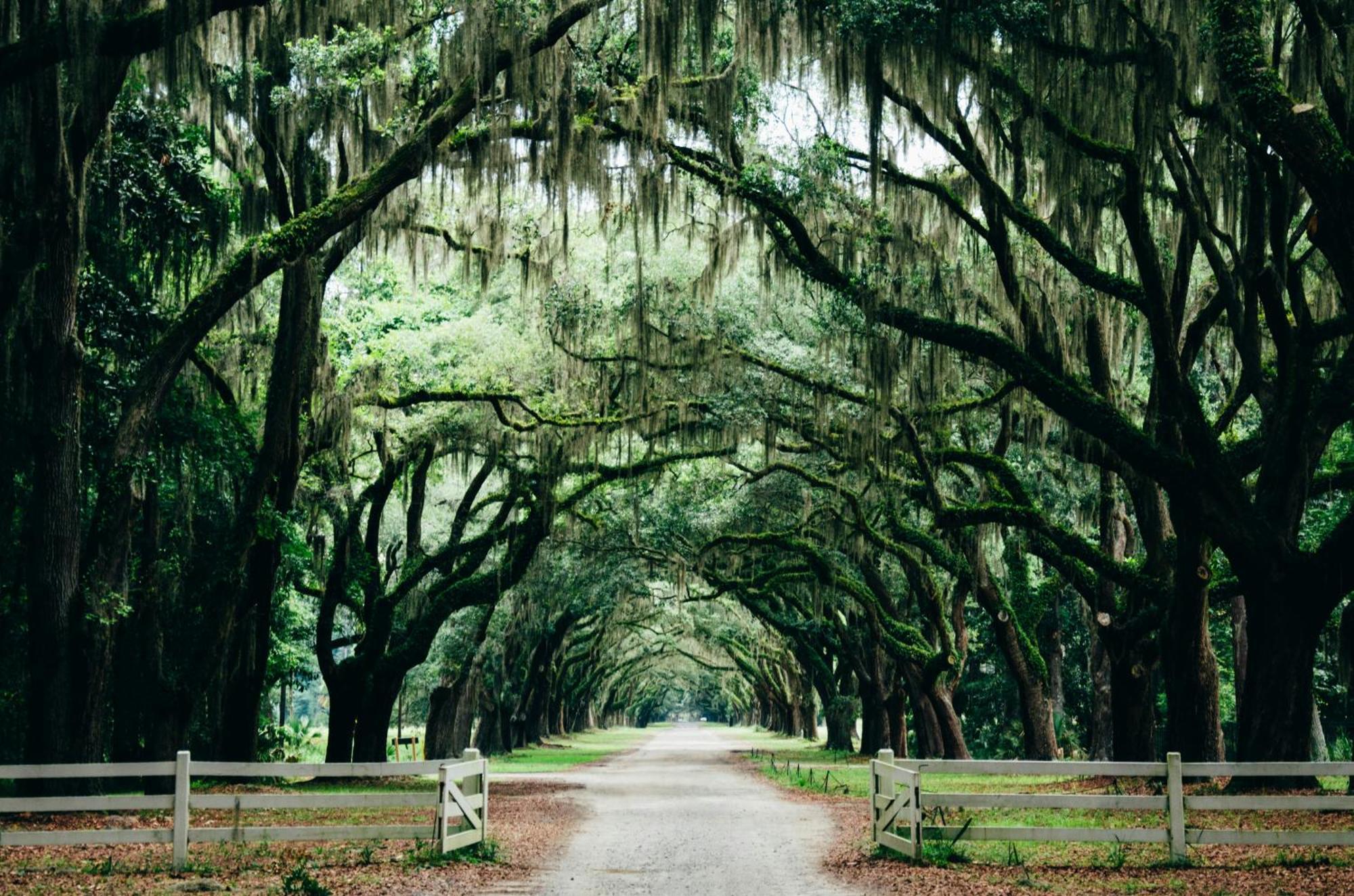 Kimpton Brice By Ihg Savannah