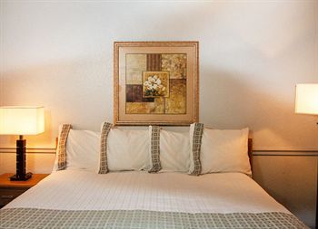 Comfort 3* Savannah