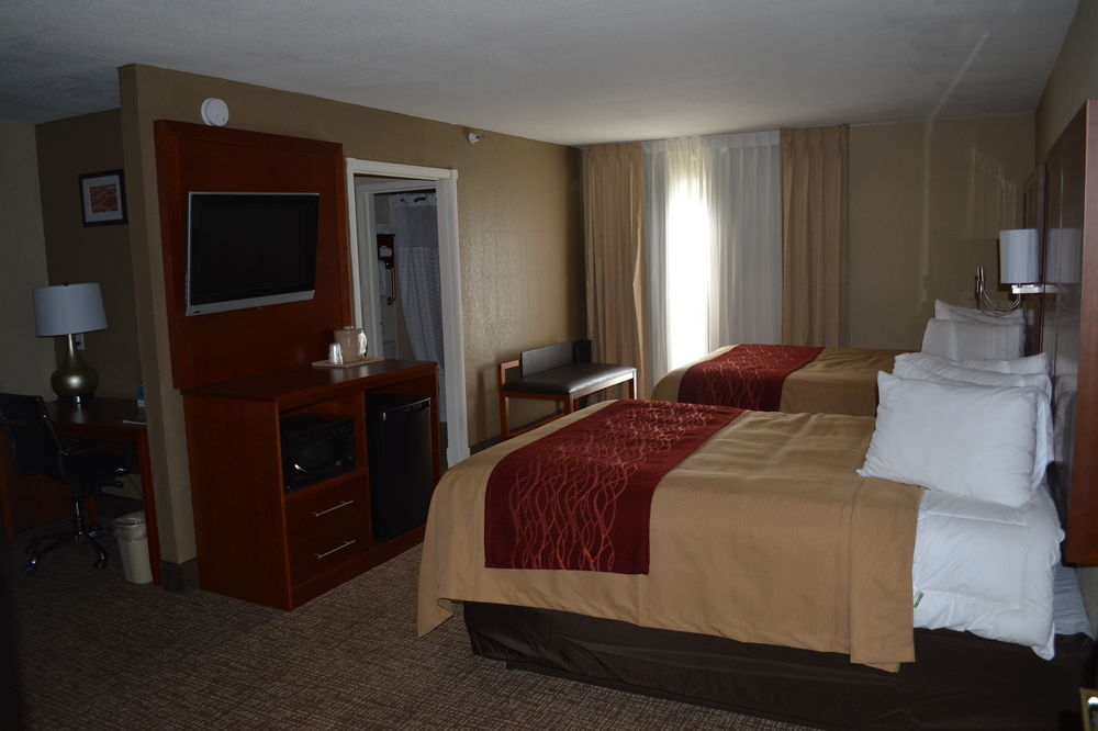 Comfort 3* Savannah