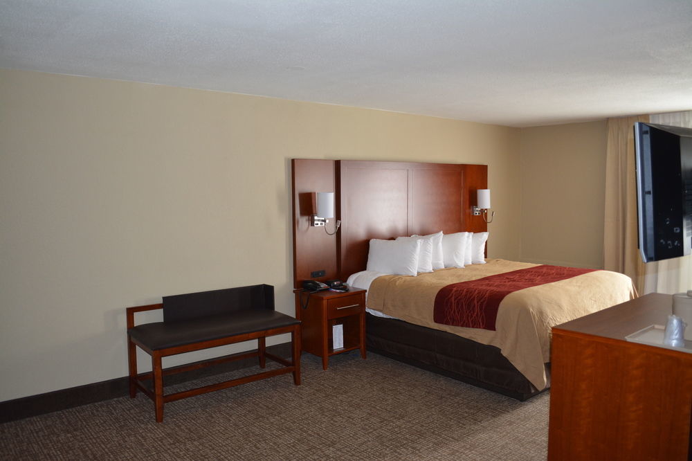 Comfort 3* Savannah