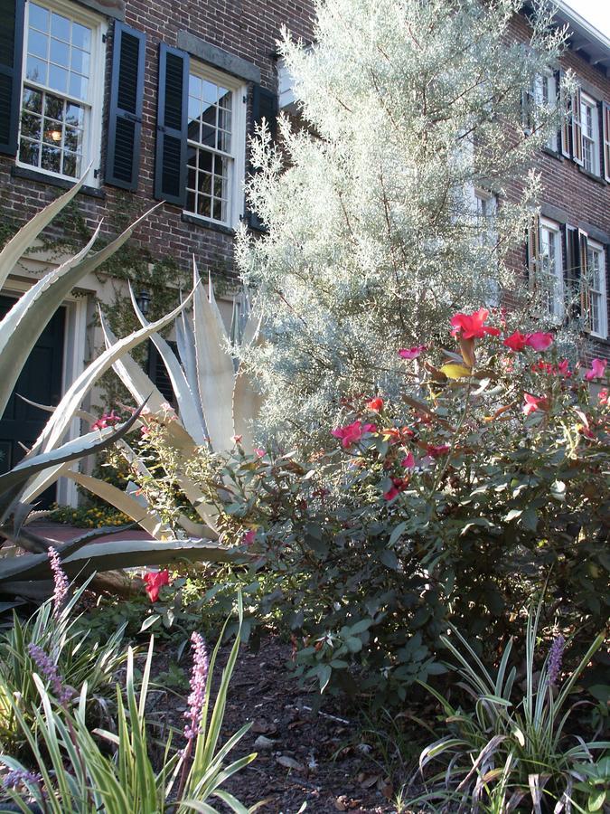 Bed & Breakfast Armstrong Inns Savannah