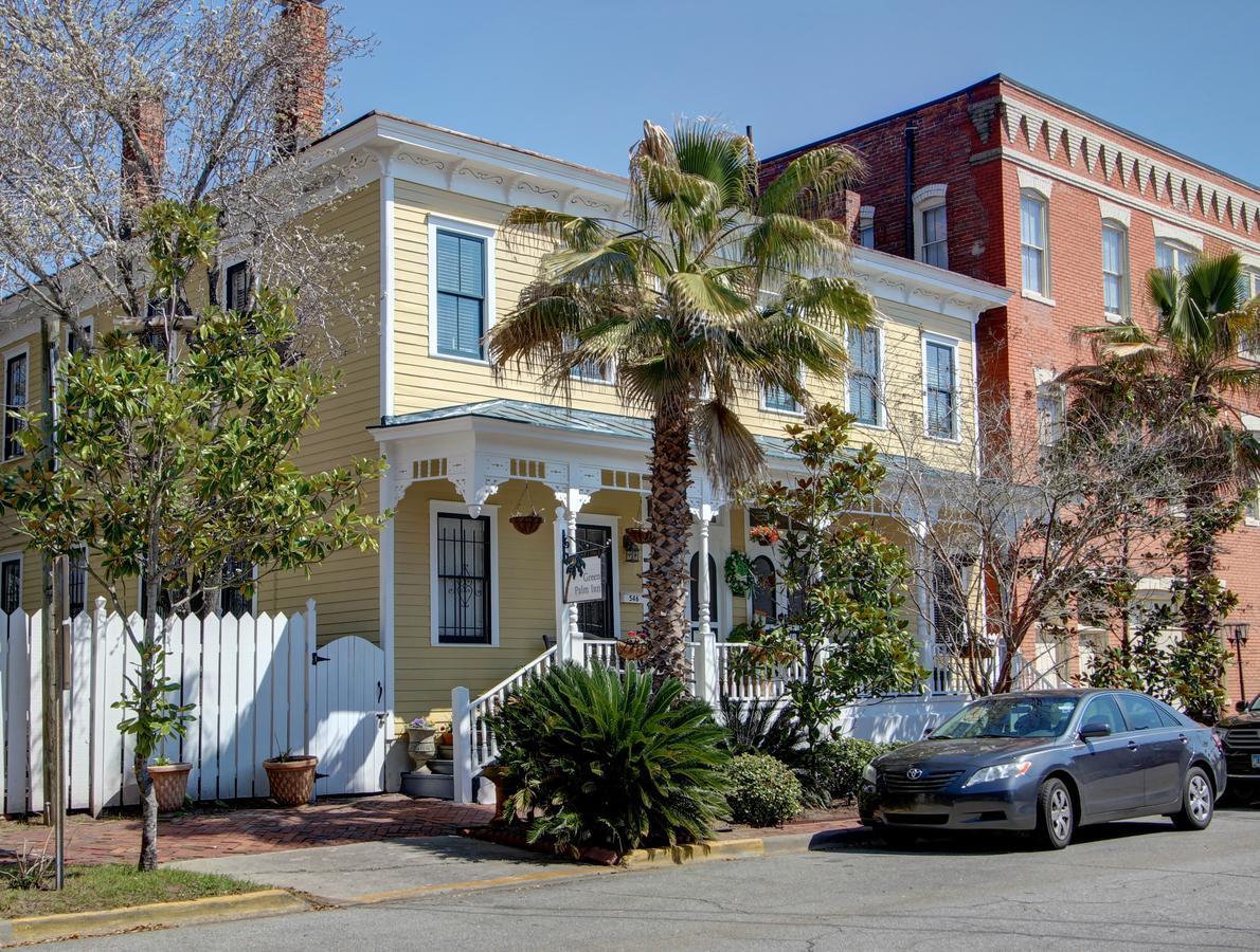 Palm Savannah