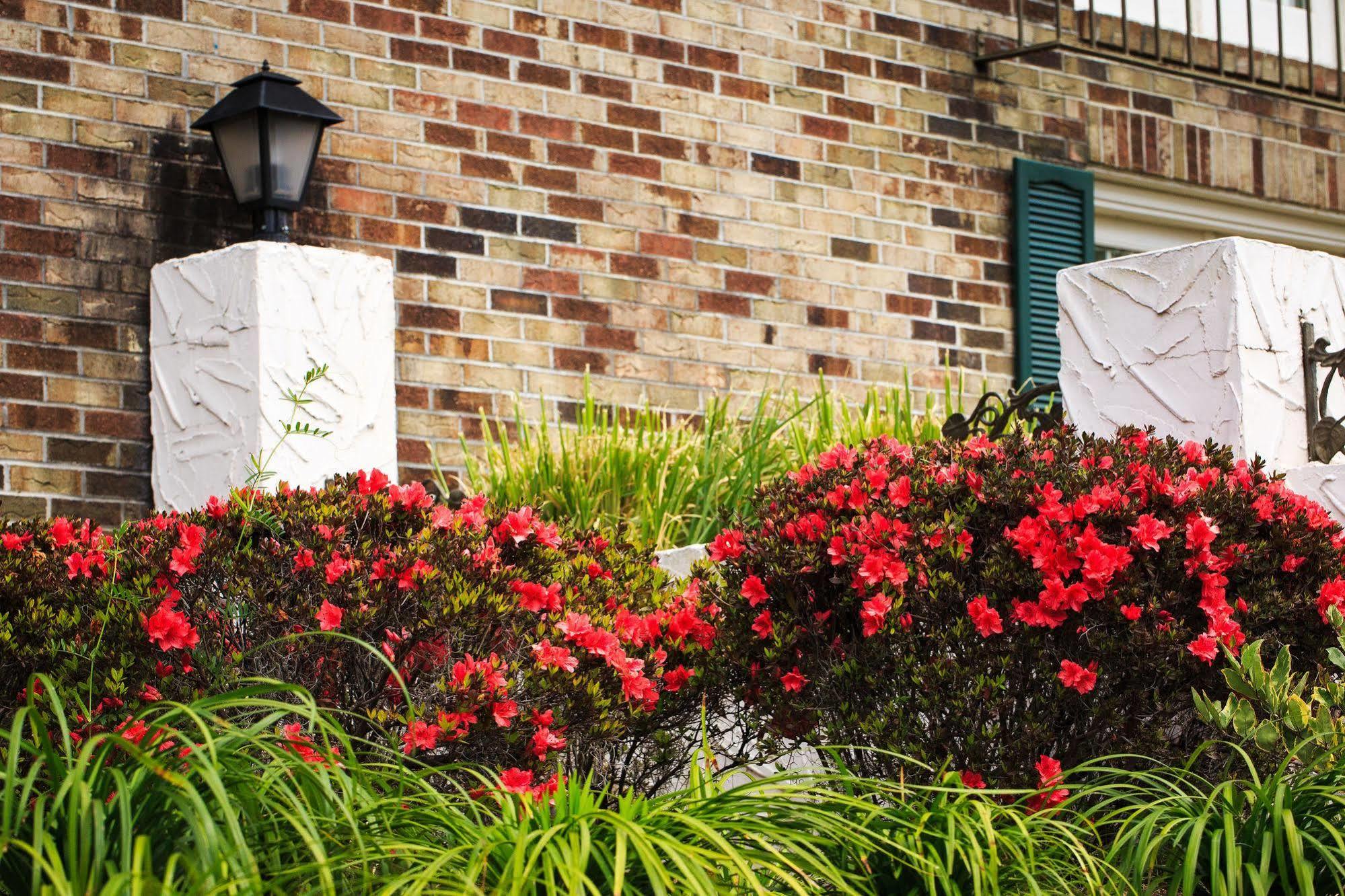 Inn Comfort Savannah
